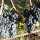 preview image0 nostri prodotti